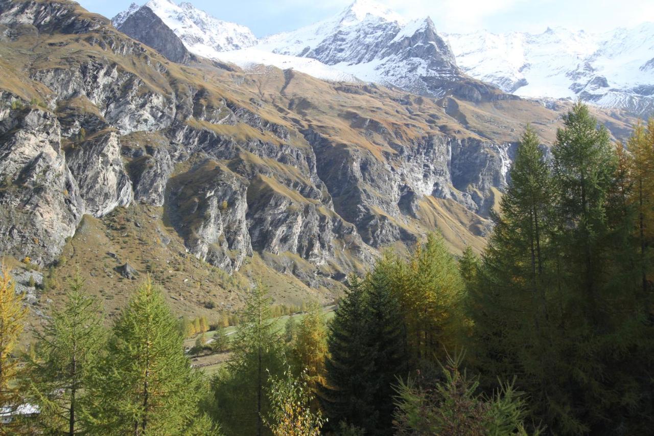 Appartement Miravidi, Montchavin-la Plagne, Jacuzzi & Sauna *